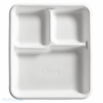 ABILITY ONE Disp Paper Plate 8 in x 10 in WH PK500, 55YF15