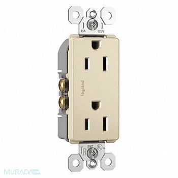 LEGRAND Receptacle Straight Blade 15A NEMA 5-15R, 56FN04