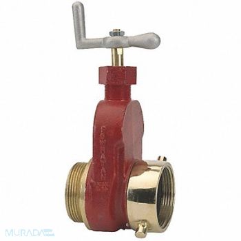 DIXON Single Hydrant Gate Valve BR 2.5 MxFNST, 58CK31