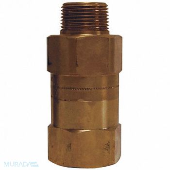 DIXON VALVE COUPLING Safety Check Valve 1/2 80-96 SCFM, 58DA35