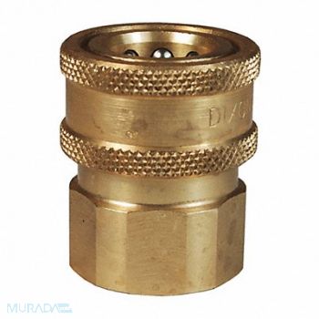 DIXON VALVE COUPLING VSeries Valved CouplerBR 1/2 FNPTF 1/2, 58CL38