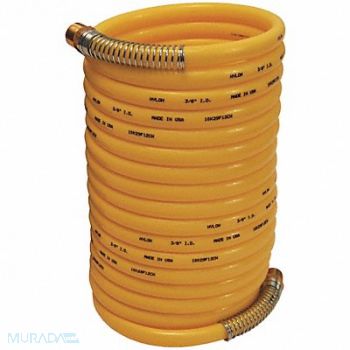 DIXON VALVE COUPLING Self Storing Hose 1/4 MNPT 1/4 ID 25ft., 58CR69