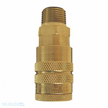 DIXON VALVE COUPLING AirChief Ind MNPT 1/4 Coupler 1/4 BR, 58CR88