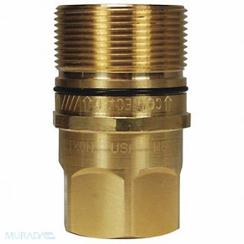DIXON VALVE COUPLING W-Series BR FNPT 1 Plug 1, 58DM66