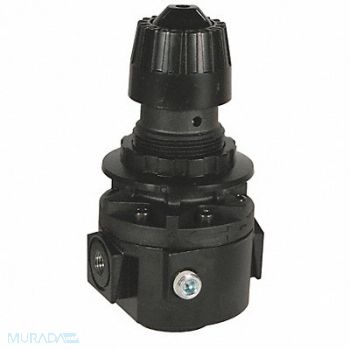 DIXON VALVE COUPLING Wilkerson Standard Regulator 3/8, 58DM47