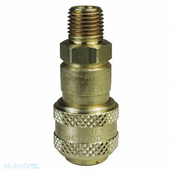 DIXON VALVE COUPLING D-Series MNPT 3/8 Coupler 1/2 -BR, 58DE57