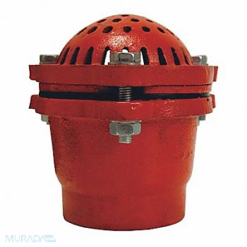 DIXON VALVE COUPLING Cast Iron Threaded Foot Valve 6, 58DJ16