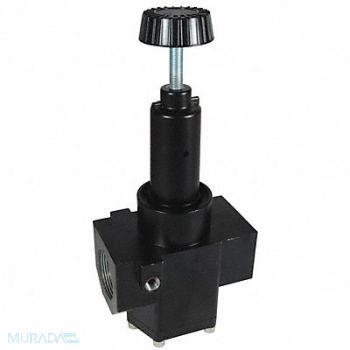 DIXON VALVE COUPLING Wilkerson High Flow Regulator 2, 58DK62