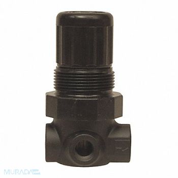 DIXON VALVE COUPLING Series 1-Miniature Regulator 1/4, 58DL25