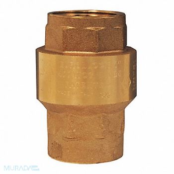 DIXON VALVE COUPLING Spring Loaded Check Valve 1/2, 58DM43