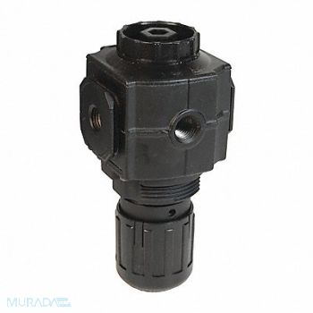 DIXON VALVE COUPLING Series 1-Compact Regulator 1/2, 58DN47