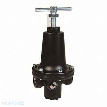 DIXON VALVE COUPLING Watts Standard Regulator 1, 58DT11