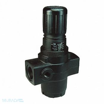 DIXON VALVE COUPLING Series 1-Jumbo Regulator 1, 58DR96