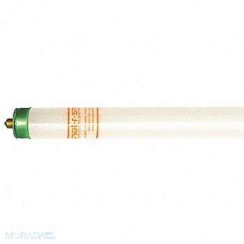 SHAT-R-SHIELD Linear FLUOR Bulb T8 96 L Fa8 3500K, 55VR68