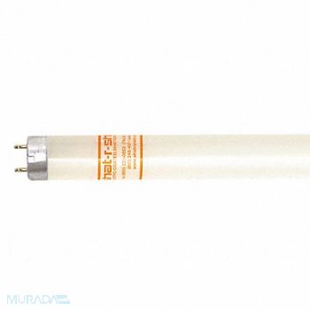 SHAT-R-SHIELD Fluorescent 4 32W T8 7500K 93 CRI PK30, 58YD02