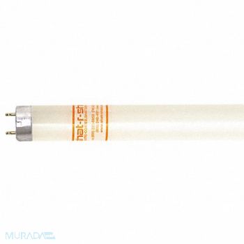 SHAT-R-SHIELD Fluorescent 4 32W T8 5000K PK30, 58YD07