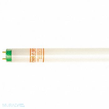 SHAT-R-SHIELD Fluorescent 4 32W T8 3500K Bi Pin PK30, 58YD18