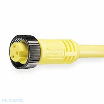 BRAD HARRISON Cordset 3 Pin Receptacle Female, 5AA38