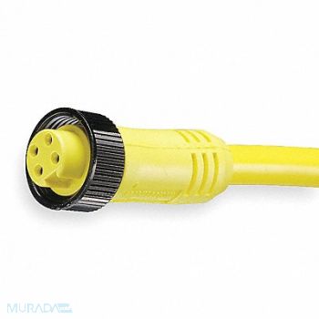 BRAD HARRISON Cordset 4 Pin Receptacle Female, 5AA45