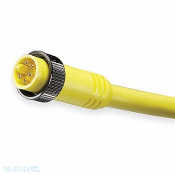 BRAD HARRISON Cordset 5 Pin Plug Male, 5AA54