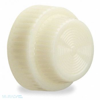 SCHNEIDER ELECTRIC Pilot Light Lens 30mm White Plastic, 5B441