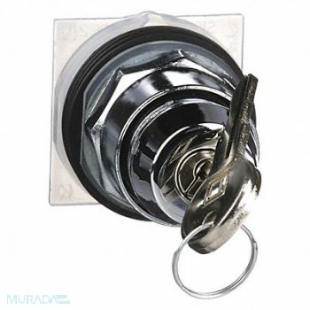 SCHNEIDER ELECTRIC Non-Illum Selector Swtch 30mm 2 Pos Keyd, 5B506