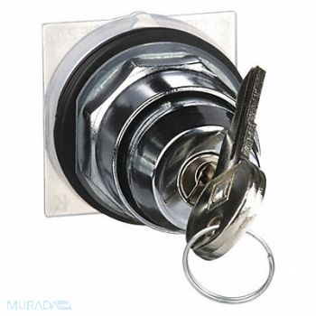 SCHNEIDER ELECTRIC Non-Illum Selector Swtch 30mm 2 Pos Keyd, 5B508