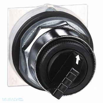 SCHNEIDER ELECTRIC Non-Illum Selector Swtch 30mm 2 Pos Levr, 5B509