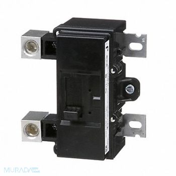SQUARE D Circuit Breaker 100A Bolt On 120/240V 2P, 5B775