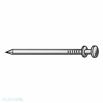 GRAINGER APPROVED H1800 Scaffold Nail 16d 3 In PK220, 4NFD9