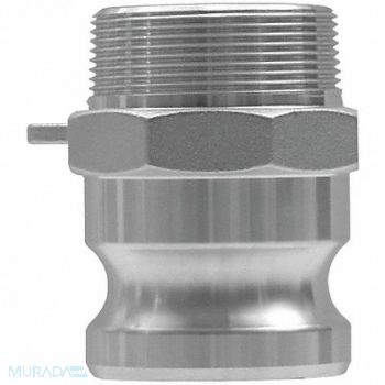 DIXON VALVE COUPLING Cam and Groove Adapter 2 Forged Brass, 5CGF0