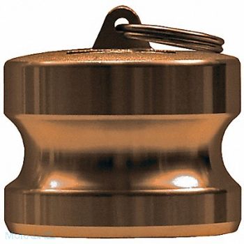 DIXON VALVE COUPLING Dust Plug Type DP Forged Brass 1, 5CGD2