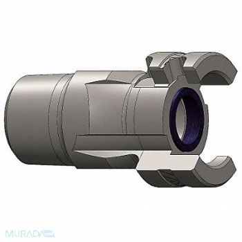 DIXON VALVE COUPLING Quick Connect Plug 1/2 Body 1 -11-1/2, 5CGN2