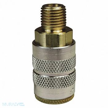 DIXON VALVE COUPLING Quick Connect Socket 1/2 Body 3/4, 5CGT6