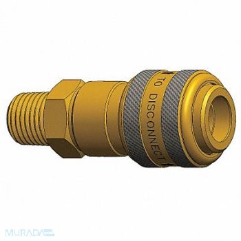 DIXON VALVE COUPLING Quick Connect Socket 1/2 Body 1/2 -14, 5CGV0