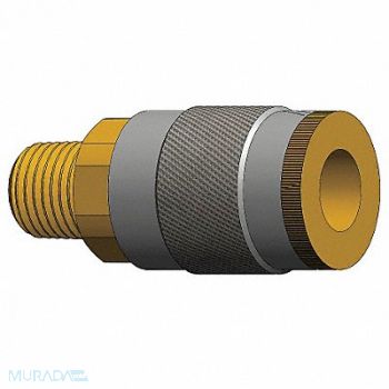 DIXON VALVE COUPLING Quick Connect Socket 3/8 Body 3/8 -18, 5CGX9