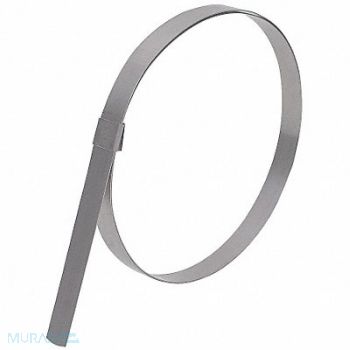 BAND-IT Band Clamp 5/8 W 5 3/4 Max OD PK10, 5DLG5