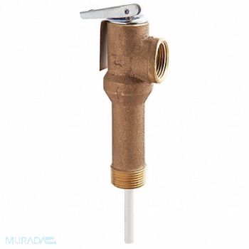 WATTS T and P Relief Valve 3/4 in Outlet, 5DLY6