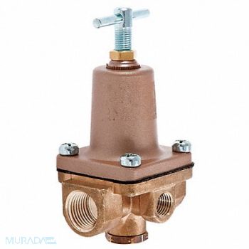 WATTS Pressure Regulator 1/2 In 1 to 25 psi, 5DMD7