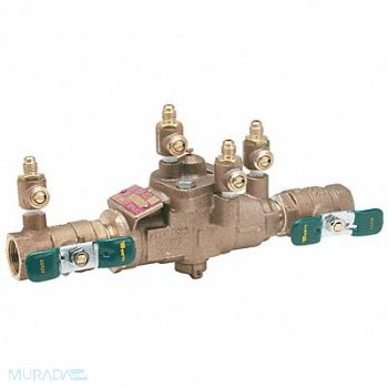 WATTS Reduced Pressure Zone Backflow Preventer, 5DMJ1