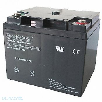GRAINGER APPROVED Sealed Lead Acid Battery 12VDC 40Ah, 5EFG2