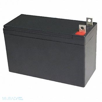 GRAINGER APPROVED Sealed Lead Acid Battery 12VDC 10Ah, 5EFG9