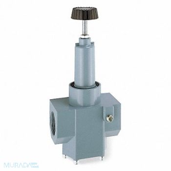 WILKERSON Air Regulator 2 In NPT 1 200 cfm 300 psi, 5GC19