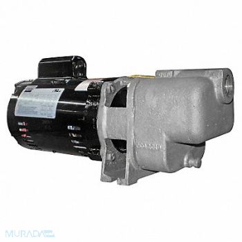 DAYTON Self Priming Pump 1/3 HP 316 SS, 5GUP0