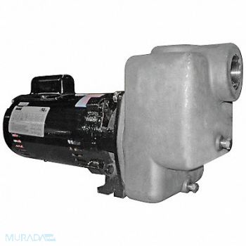 DAYTON Self Priming Pump 1 HP 316 SS, 5GUP2