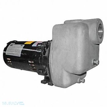 DAYTON Self Priming Pump 1 HP 316 SS, 5GUP3