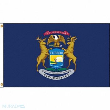 NYLGLO D3772 Michigan Flag 5x8 Ft Nylon, 5JFK0