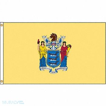 NYLGLO D3772 New Jersey Flag 5x8 Ft Nylon, 5JFL6