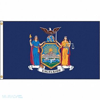NYLGLO D3772 New York Flag 5x8 Ft Nylon, 5JFN0