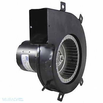 PACKARD Induced Draft Furnace Blower 115 Volt, 5JLR3